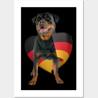 Rottweiler  - Metzgerhund Posters and Art